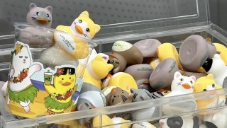 老牌IP B.Duck小黄鸭不甘心过气
