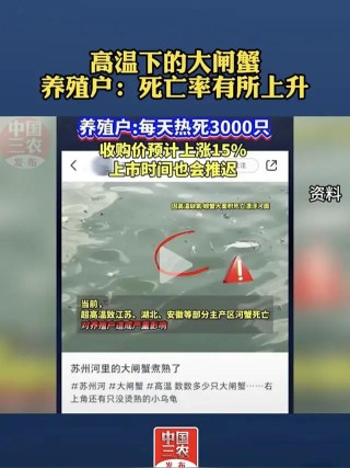 今年为什么失去了大闸蟹自由