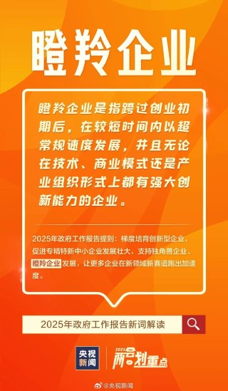 具身智能、瞪羚企业……这些进入政府工作报告的新词啥意思？