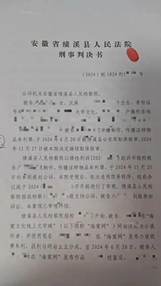 小说“涉黄”被跨省抓捕后，一个海棠作者的自白
