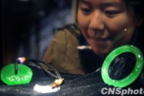 如何从市场中选择合适的投资板块？这些板块的选择依据是什么？