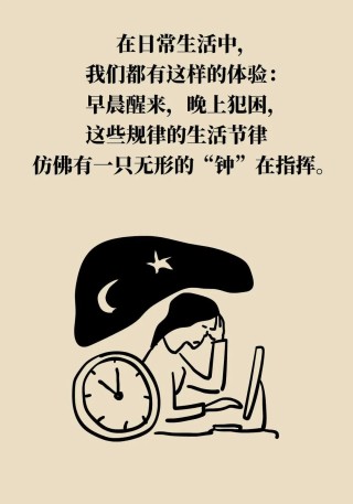 生物钟乱了会缩短寿命，如何调准你的“钟”？