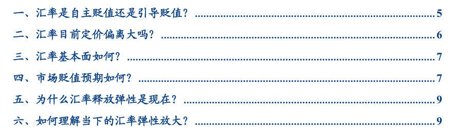 张瑜：汇率弹性释放不是坏事，对于后续稳增长政策空间至关重要  第1张