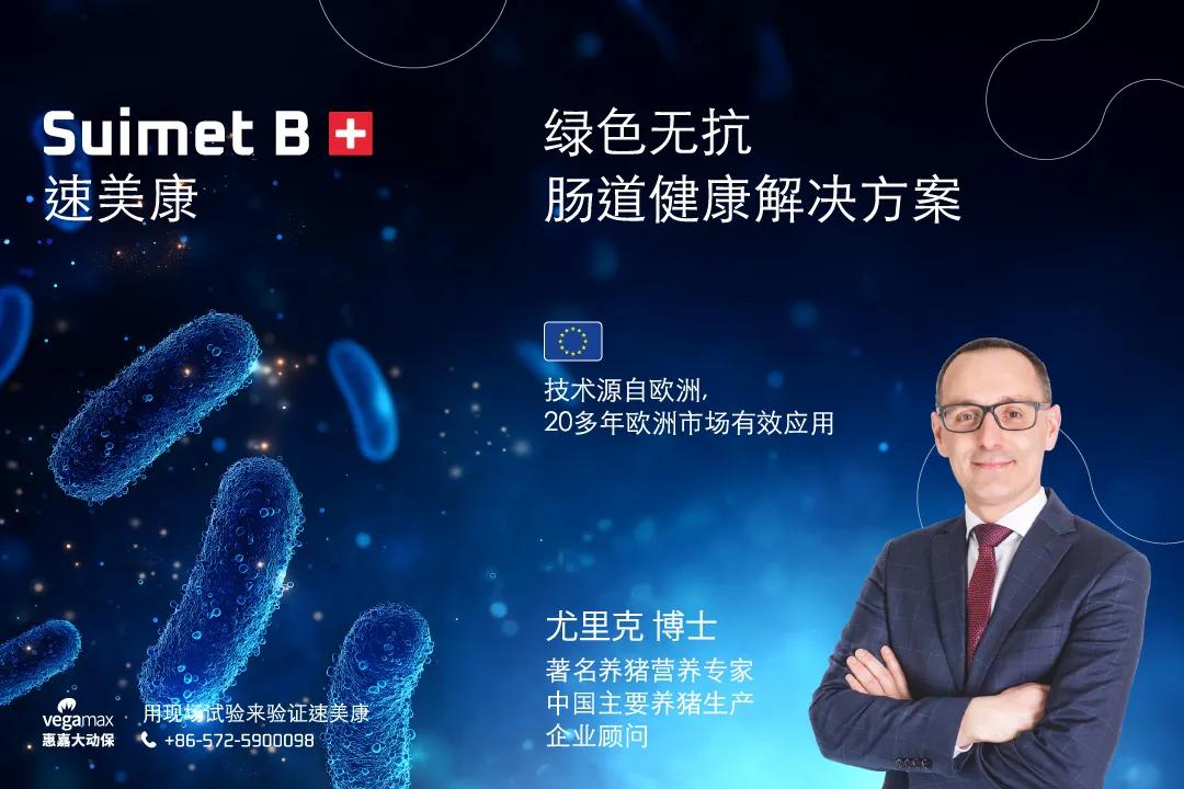 “猪茅”牧原2024年报创三项历史新高，净利润暴增超5倍，全年分红可达75.88亿元  第2张